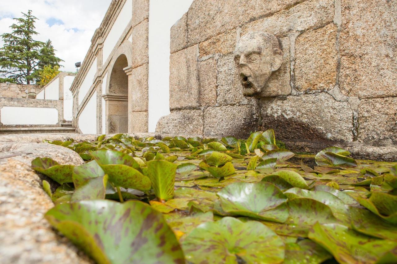 Villa Casa De Quinta à Marco de Canavezes Extérieur photo